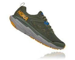 Hoka One One Men's Challenger ATR 6 | Thyme/Sharkskin