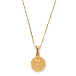 Amano Studio Tiny Zodiac Medallion Aquarius Accessories & Sundries