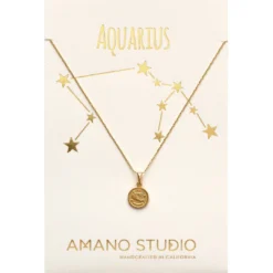 Amano Studio Tiny Zodiac Medallion Aquarius Accessories & Sundries