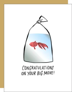 Greeting Cards Hello!Lucky Congrats Cards 11 Greeting Cards Hello!Lucky Congrats Cards