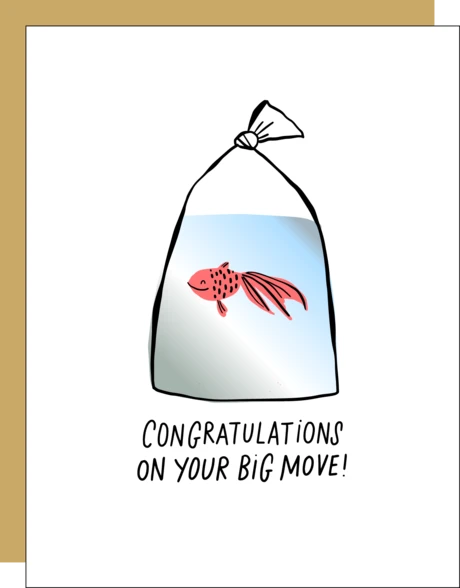 Greeting Cards Hello!Lucky Congrats Cards 6 Greeting Cards Hello!Lucky Congrats Cards