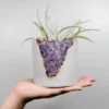 Tal & Bert - Amethyst Mod Planter Home 1 Tal & Bert - Amethyst Mod Planter Home