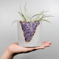 Tal & Bert - Amethyst Mod Planter Home