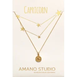 Amano Studio Tiny Zodiac Medallion Capricorn Accessories & Sundries