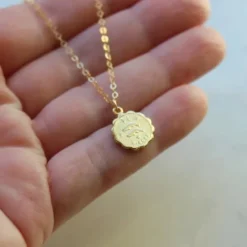 Laalee Jewelry LaaLee Coin Zodiac Accessories & Sundries